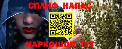 СК Севастополь