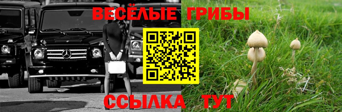 Галлюциногенные грибы MAGIC MUSHROOMS  Галлюциногенные грибы Magic Shrooms  Рыбинск  Вход с VPN 
